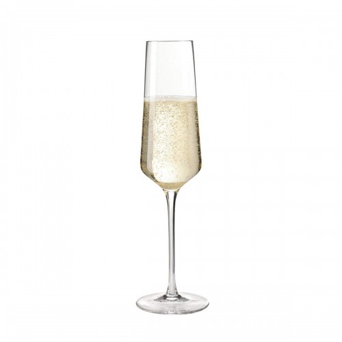 Taurė šampanui Leonardo PUCCINI, 280 ml