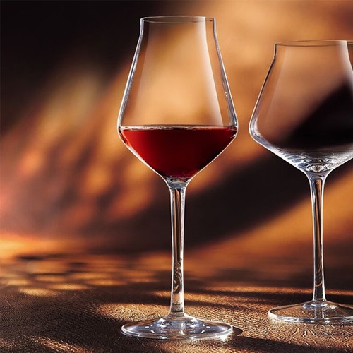 Taurė baltam vynui Chef & Sommelier REVEAL UP, 500 ml