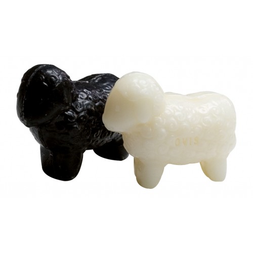 Avies pieno muilas Ovis SHEEP