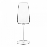 Taurė šampanui Luigi Bormioli TALISMANO, 210ml