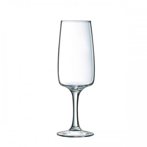 Taurė šampanui Luminarc EQUIP HOME, 170 ml