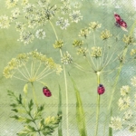 Servetėlės IHR LADYBIRDS, Žalios Sp., 33x33 cm