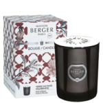 Žvakė Maison Berger PRISME Wilderness, juoda, 240g