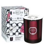 Žvakė Maison Berger PRISME Wilderness, bordo, 240g