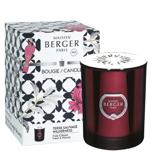 Žvakė Maison Berger PRISME Wilderness, bordo, 240g