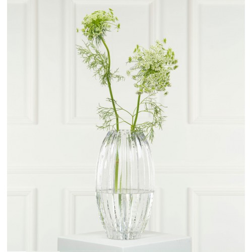 Vaza A Lot CANE skaidri, 28 cm