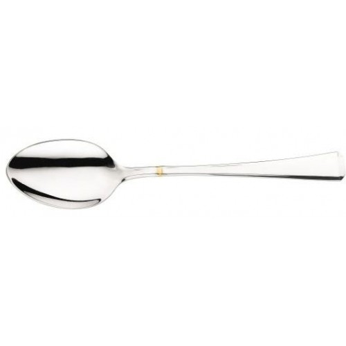 Šaukštas Pintinox LEONARDO GOLD, 20.8 cm