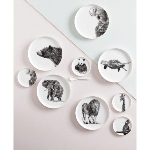 Lėkštė Maxwell & Williams African Lion, baltos sp., 20 cm