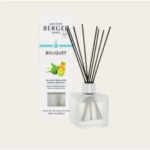 Kvapas namams Maison Berger ICE Cube Radiant Bergamot, 125 ml