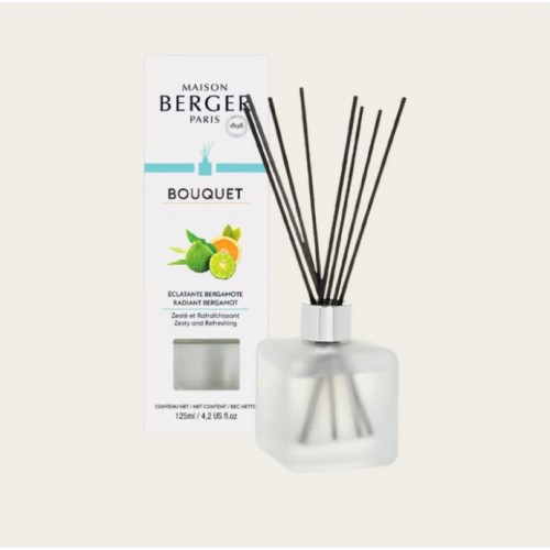 Kvapas namams Maison Berger ICE Cube Radiant Bergamot, 125 ml