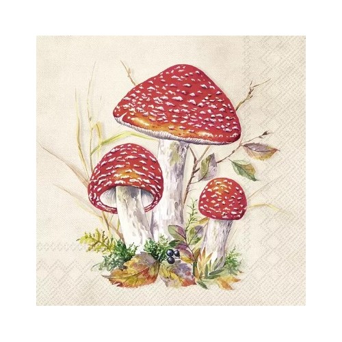 Servetėlės IHR TOAD, kreminės sp., 33 x 33 cm