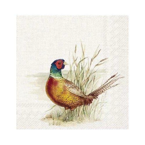 Servetėlės IHR HUNTED PHEASANT, kreminės sp., 33 x 33 cm