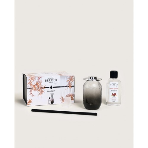 Kvapas namams Maison Berger EVANESCENCE Mystic Leather, pilkos sp., 200 ml