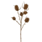 Dirbtinė šaka GOLD ERYNGO SPRAY, auksinės sp., 65 cm