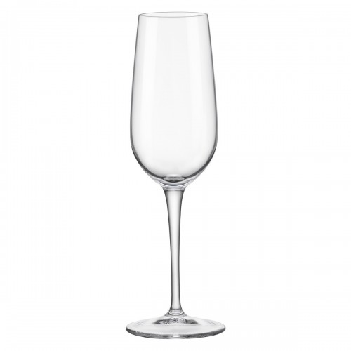 Taurė šampanui Bormioli INVENTA, 210 ml