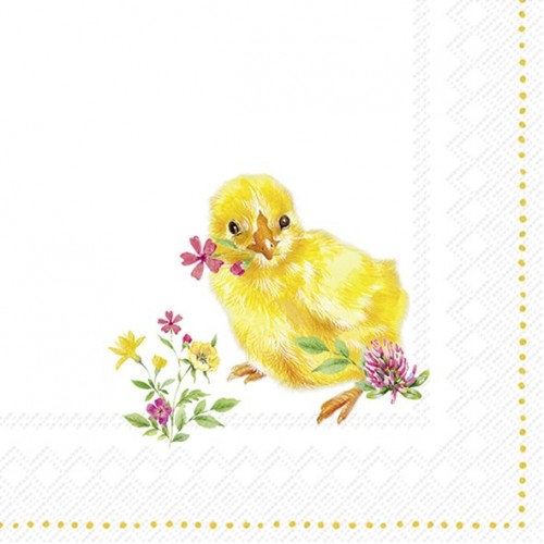 Servetėlės IHR CHICKS, 25 x 25 cm