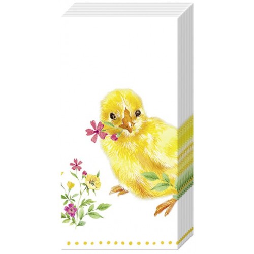 Servetėlės nosinaitės IHR CHICKS, balta, geltona sp., 21 x 21 cm