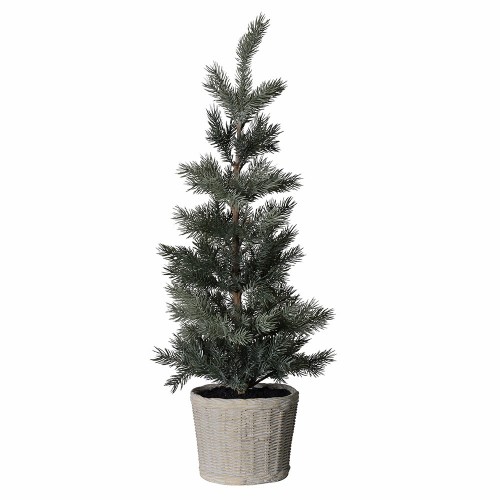 Kalėdinė eglutė PINE TREE IN CLAY POT, žalios sp., 50 cm