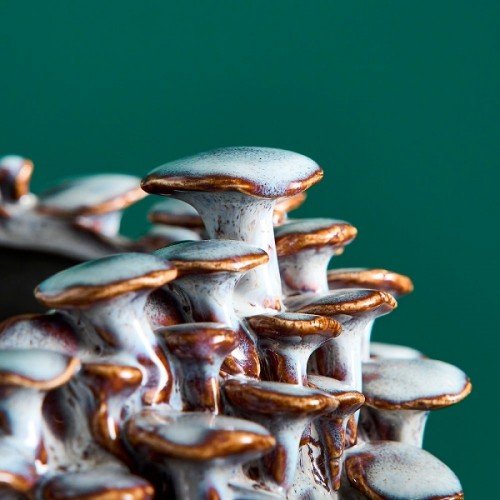 Vaza MUSHROOMS, pilkos sp., 20 x 17 cm
