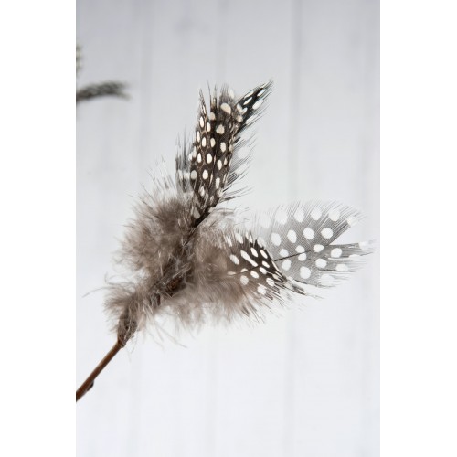 Dekoracija Feather Wired marga