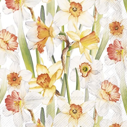 Servetėlės IHR DAFFODIL JOY