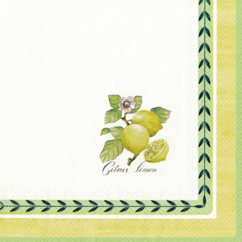 Servetėlės IHR FRENCH GARDEN V&B, 33 x 33 cm