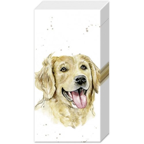 Servetėlės nosinaitės IHR FARMFRIENDS DOG, 21 x 21 cm