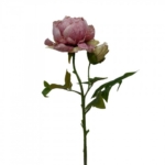 Dirbtinė gėlė Maggie PEONY SINGLE PINK GREEN, 62 cm