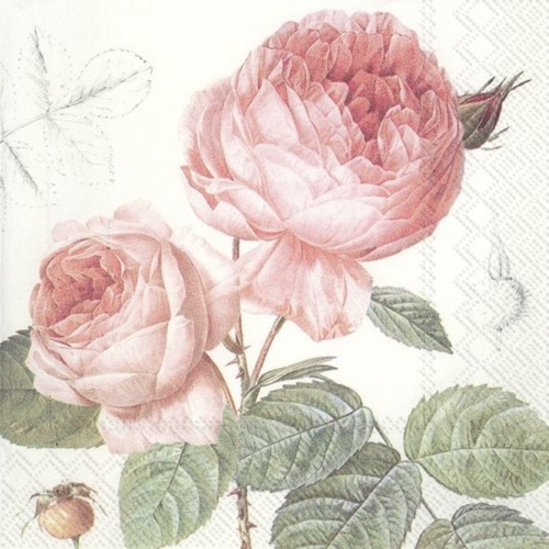 Servetėlės IHR ELISABETH, 33 x 33 cm