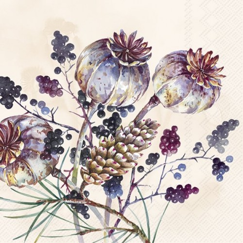 Servetėlės AMARA, kreminės sp., 33 x 33 cm