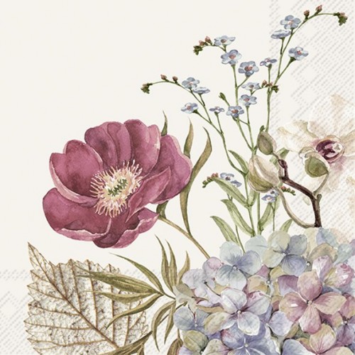 Servetėlės IHR BELLES FLEURS, kreminės sp., 25 x 25 cm