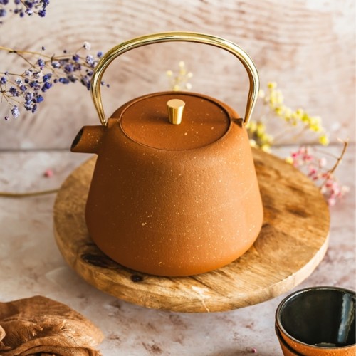 Ketaus arbatinuko ir puodelių rinkinys AGNES, oranžinės sp., 1 l