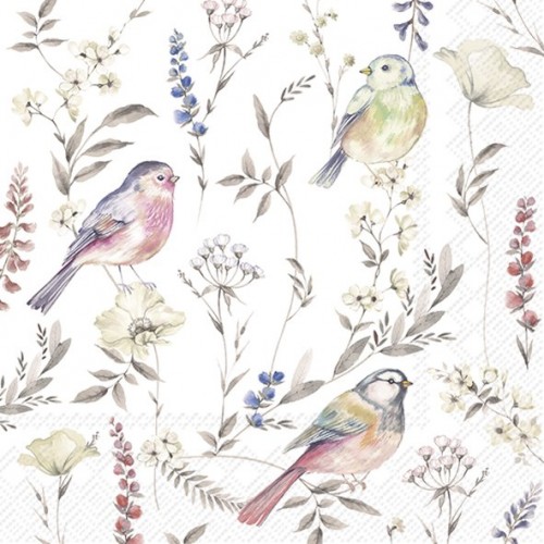 Servetėlės IHR SOFTLY FADED BIRDS, 33 x 33 cm