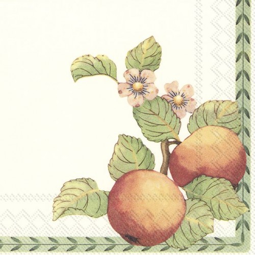 Servetėlės IHR NEW FRENCH GARDEN V&B, 33 x 33 cm