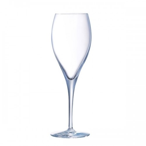 Šampano taurė nuomai OENOLOGUE EXPERT, 260 ml